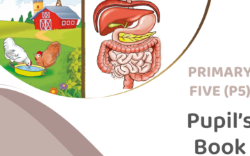 Science & Elementary Technology (Primary 5)